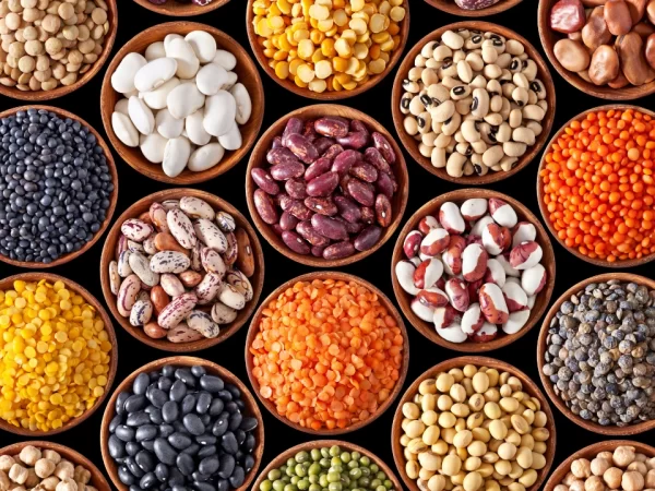 Agricultur Industries Agricultur Industries