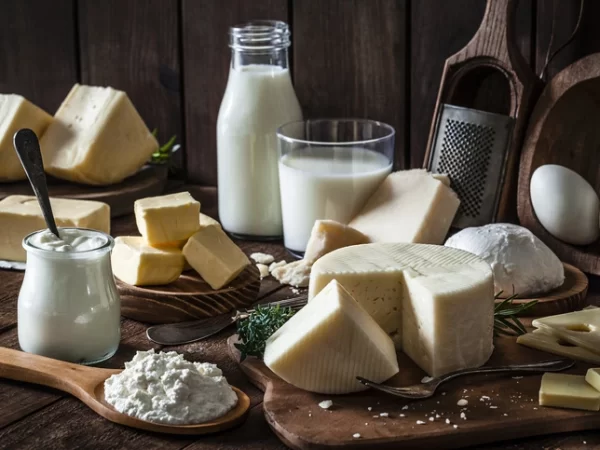 Dairy Industries Dairy Industries